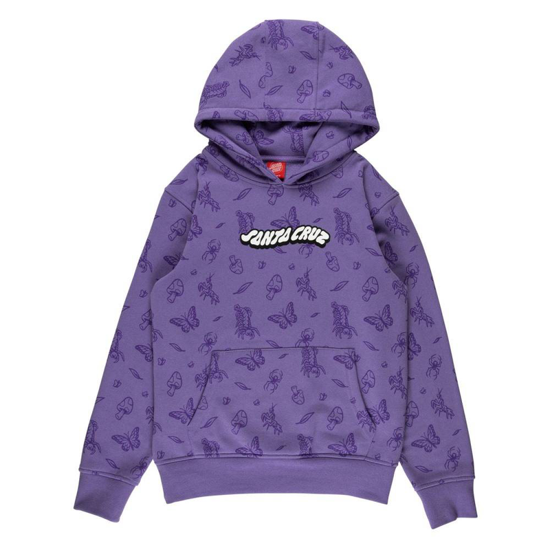 Product image: Santa cruz youth winkowski comic bugs hood-null