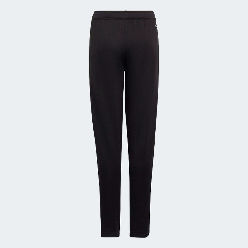 Adidas  ent22   tr pnt  y image number null