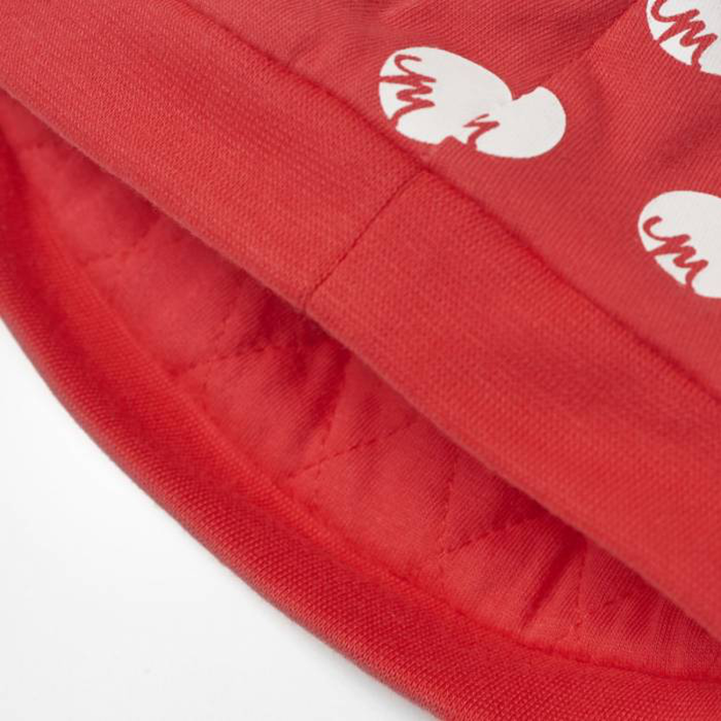 Disney classic beanie image number null