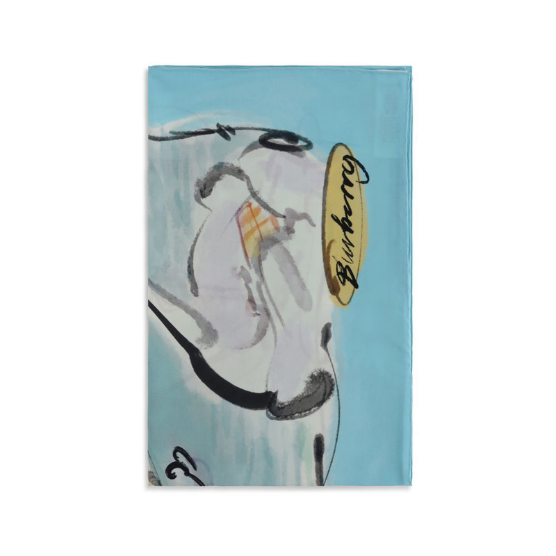 Multicolor silk scarf-null