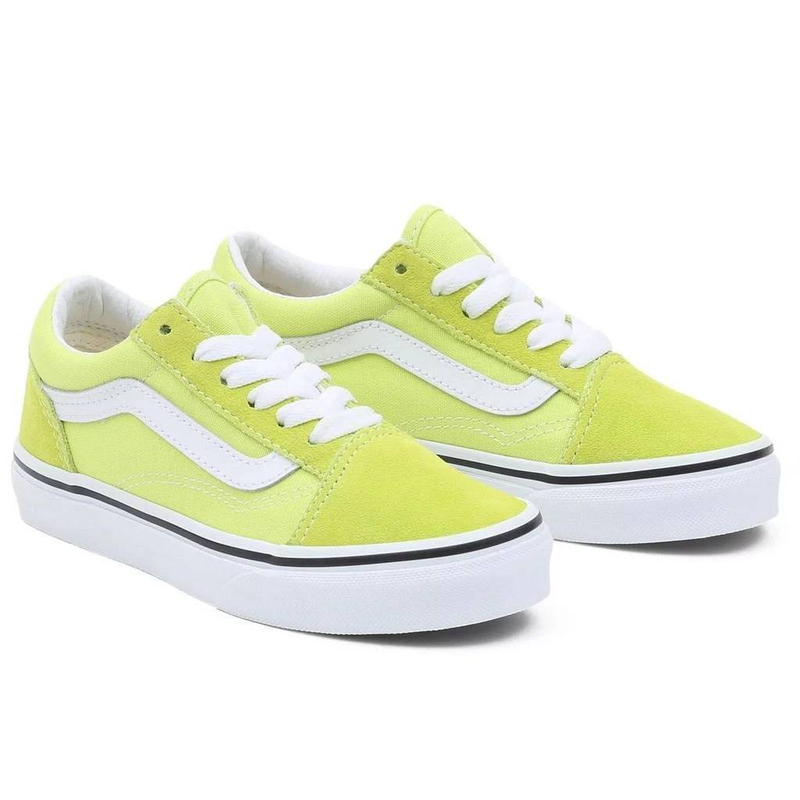 Product image: Vans kids color theory old skool shoes-null