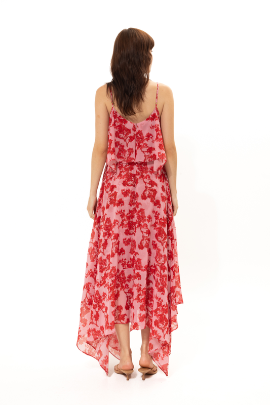 Bougainvillea asymmetrical-null