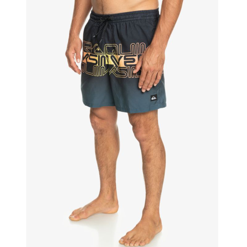 Quicksilver silver men swimwear everyday wordblock volley 17-null