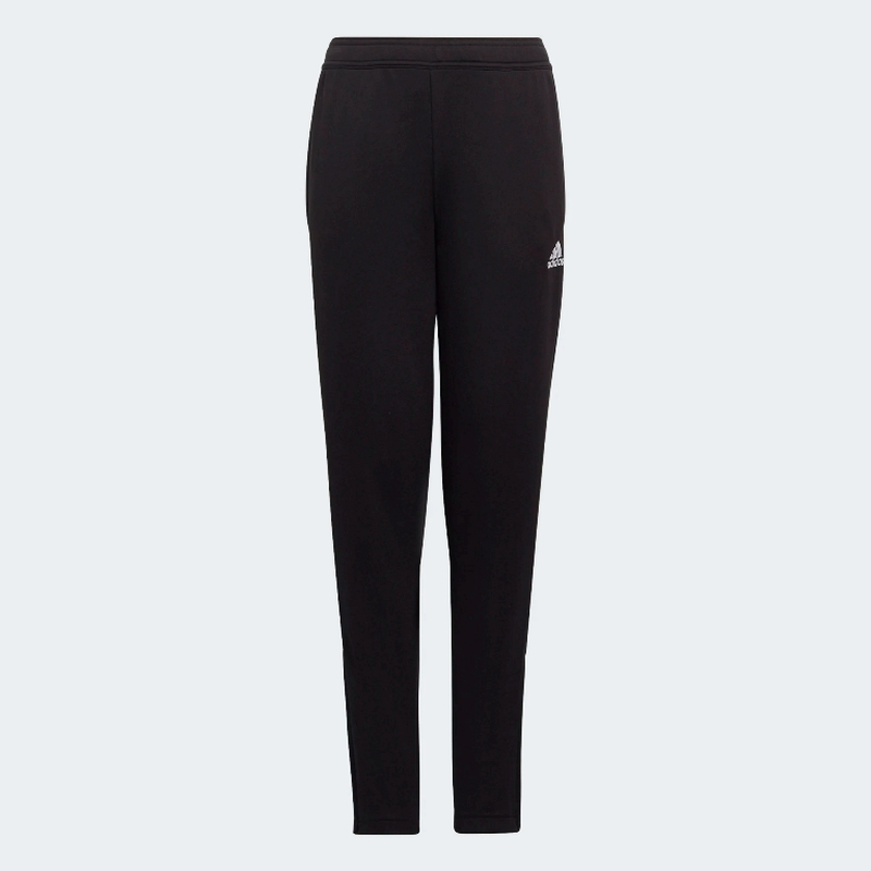 Adidas  ent22   tr pnt  y image number null