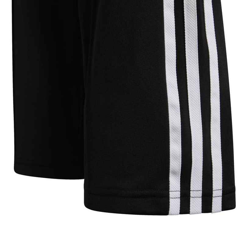 Wide pants-null