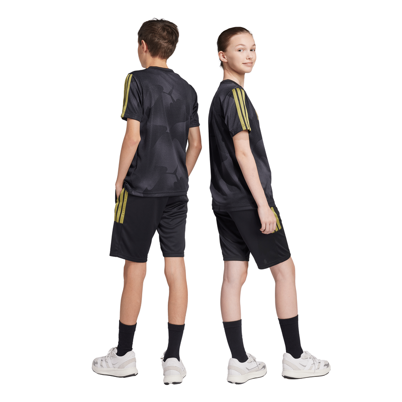Adidas boy's house of tiro colors of football shorts kids-null