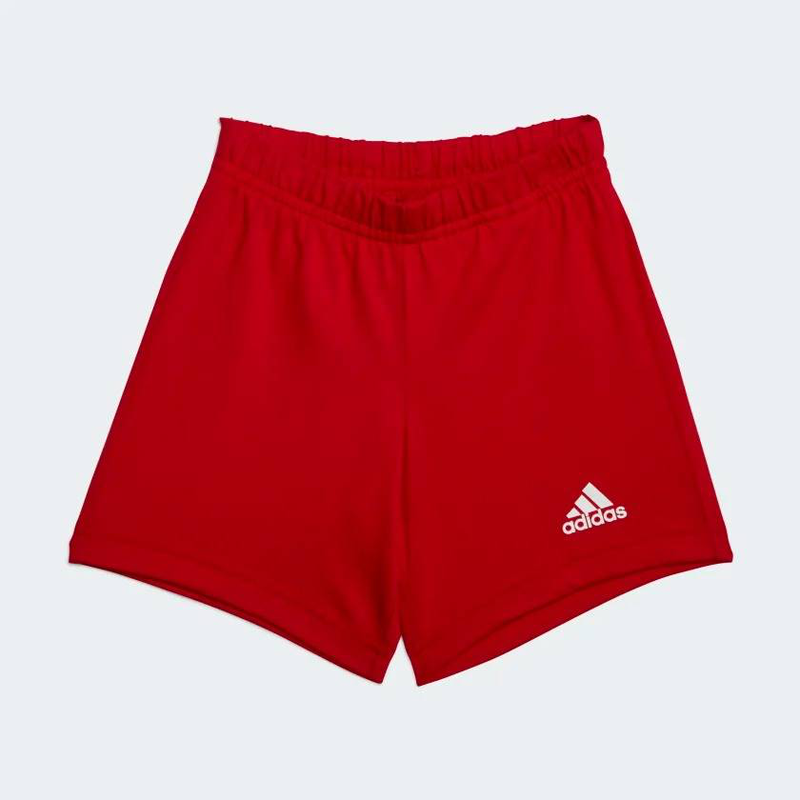 I bl co t set-null