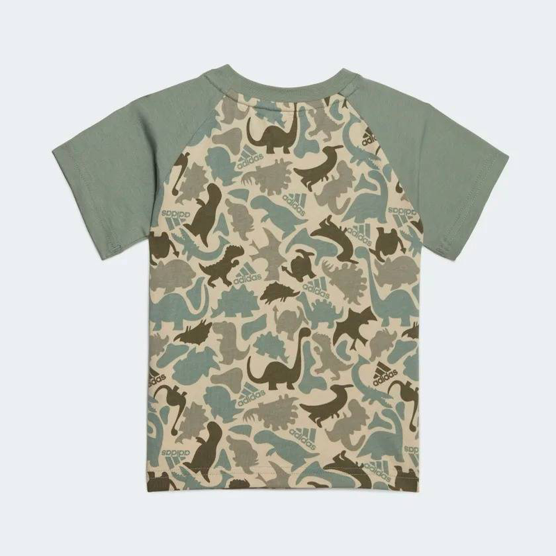 I aop co t set-null