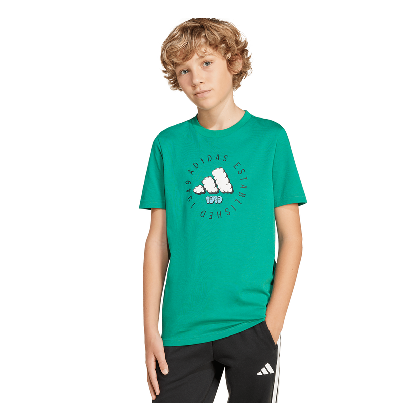 Adidas boy's fun graphic t-shirt kids-null