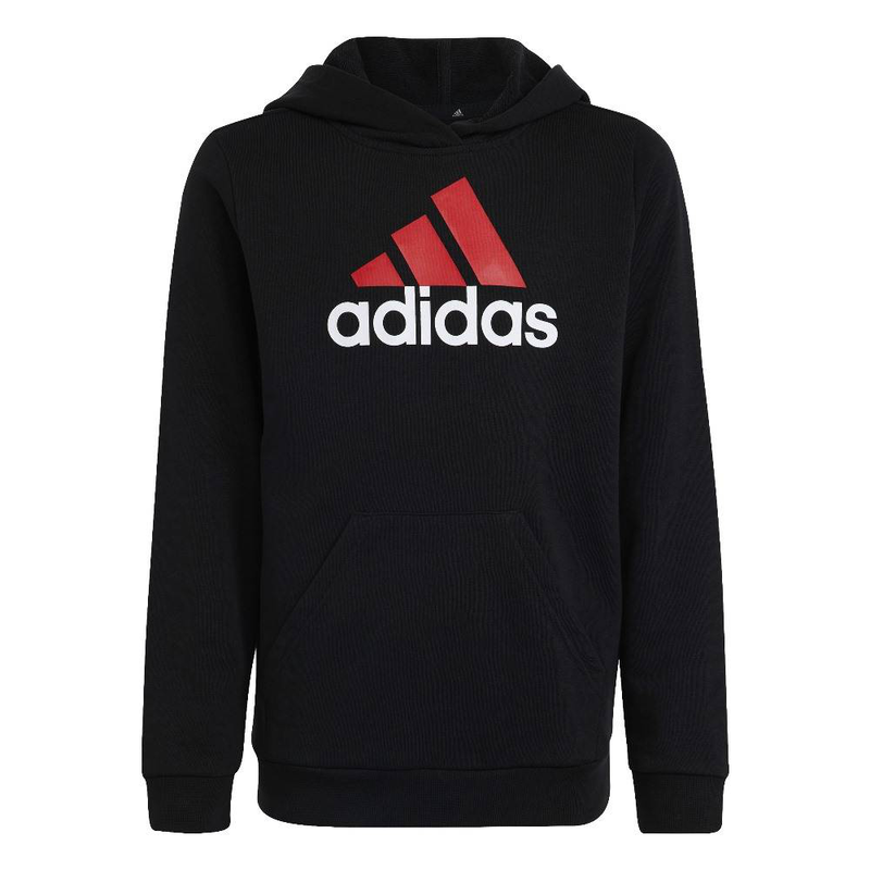 U bolt logo 2 hoodie-null
