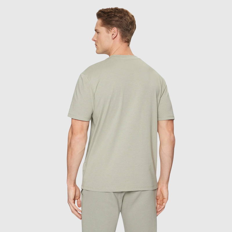 Hedley t-shirt-null
