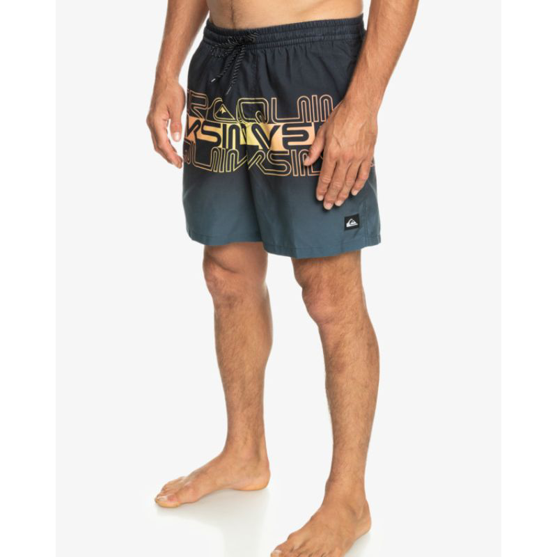 Quicksilver silver men swimwear everyday wordblock volley 17-null