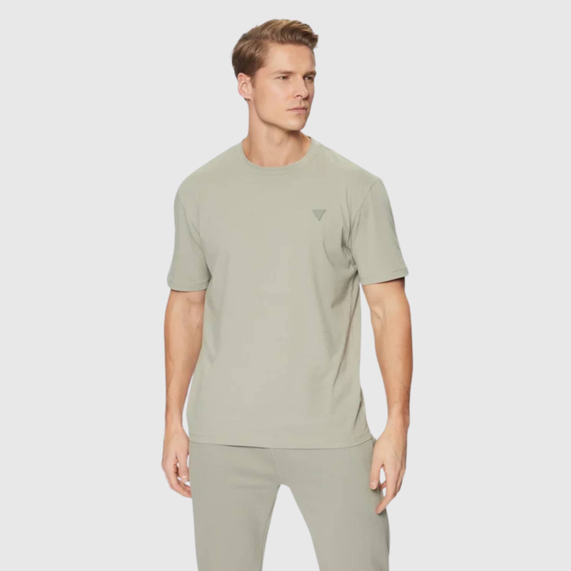 Hedley t-shirt-null