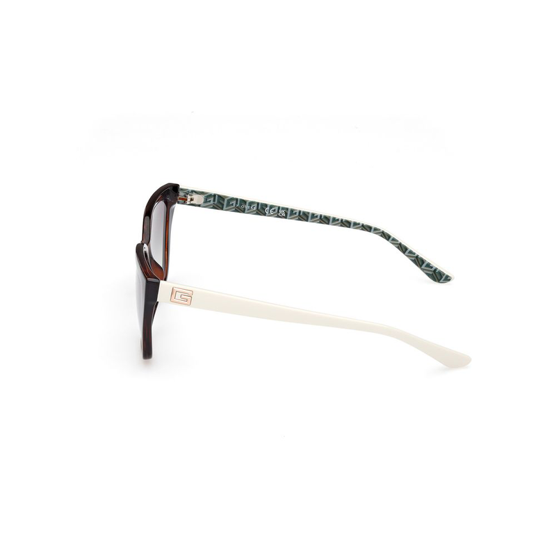 Brown resin sunglasses-null