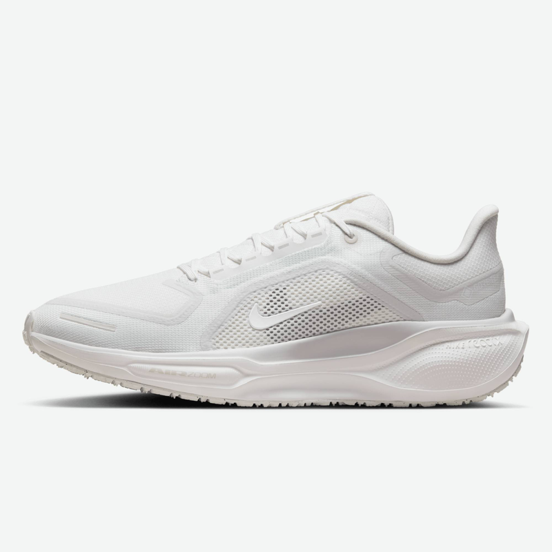 Air zoom pegasus 41 gtx-null
