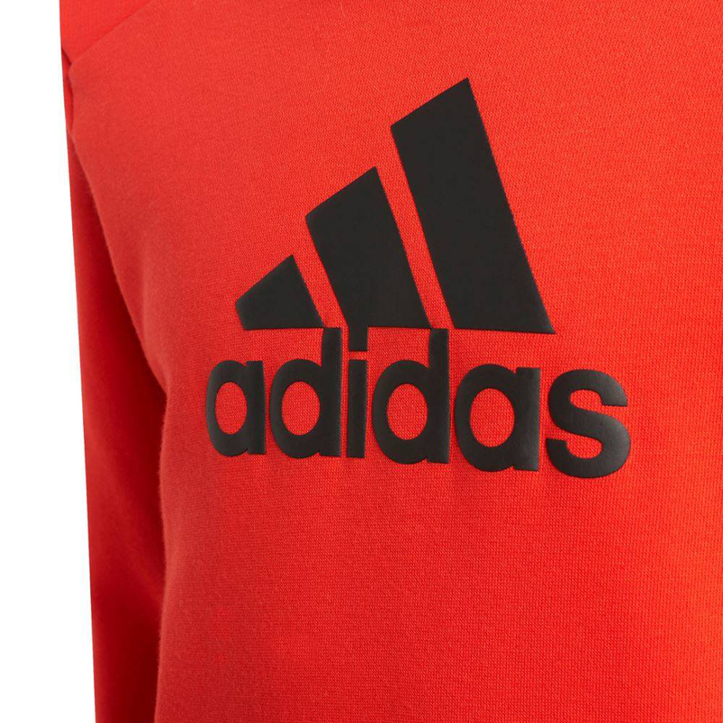 Boys badge of sports logo hoodie image number null