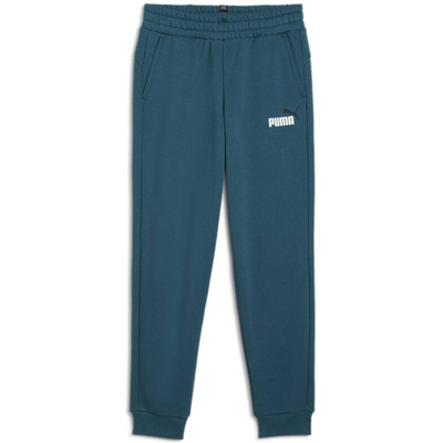 Ess+ 2 col logo pants fleece cl b