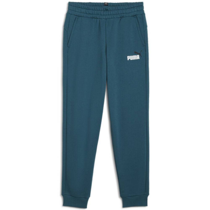 Ess+ 2 col logo pants fleece cl b image number null