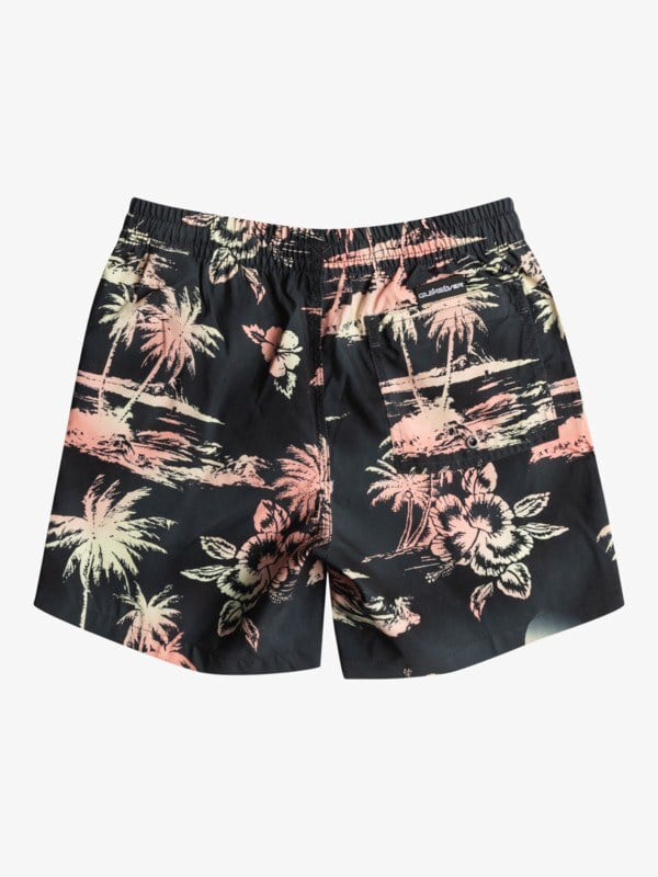 Quiksilver boy swimwear everyday mix volley youth 14 (eqbjv0-null