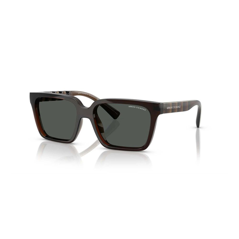 Bicolor injected sunglasses-null