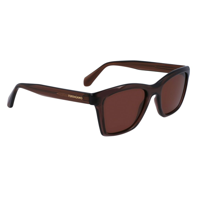 Brown injected sunglasses-null