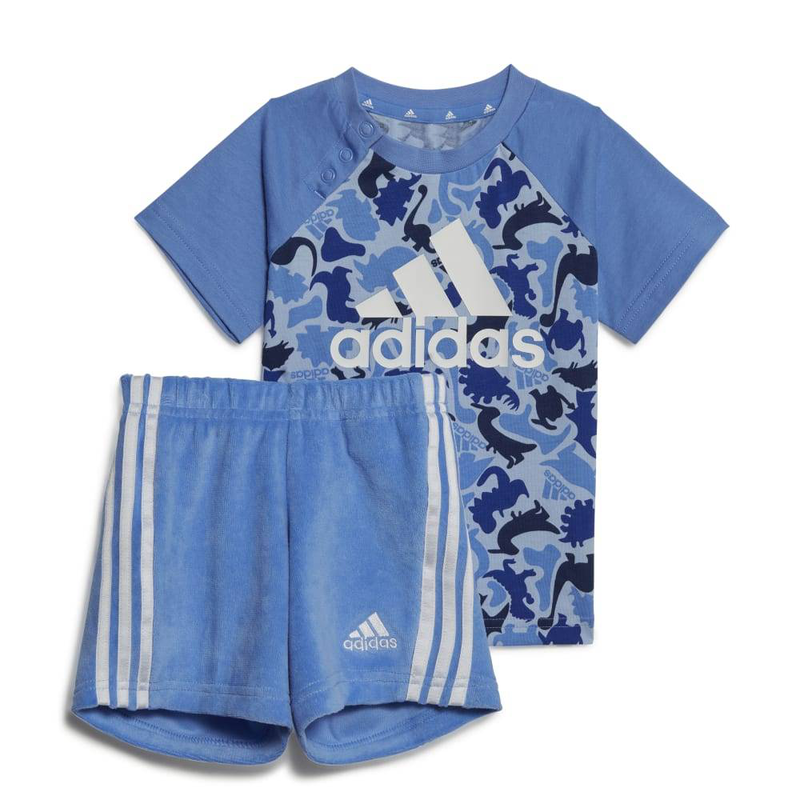 I aop co t set-null