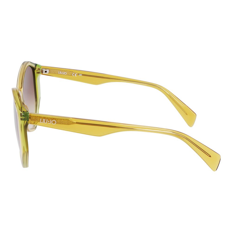 Bicolor acetate sunglasses-null