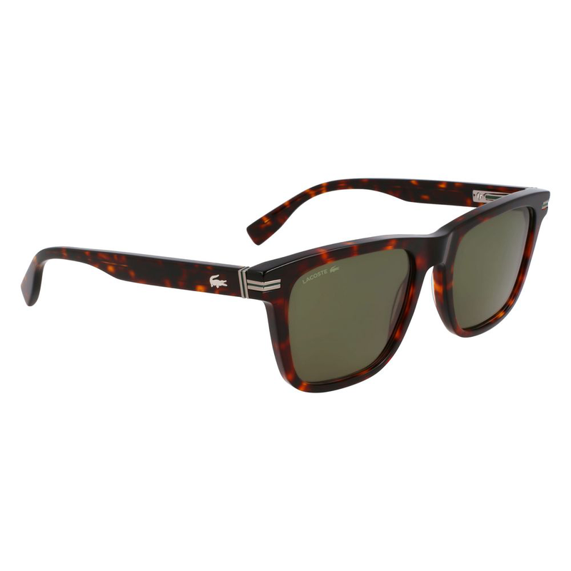 Brown acetate sunglasses-null