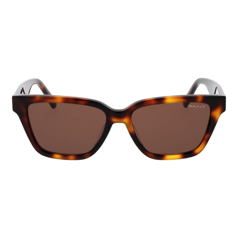 Brown acetate sunglasses-null
