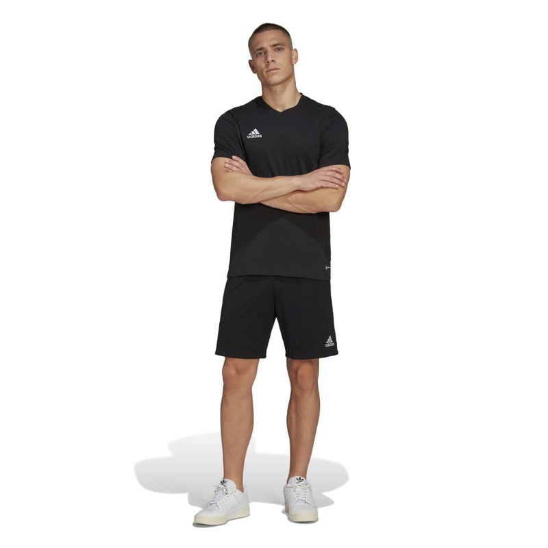Ent22 t-shirt-null