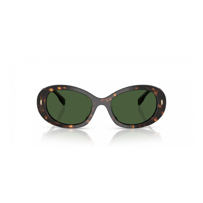 Brown acetate sunglasses-null
