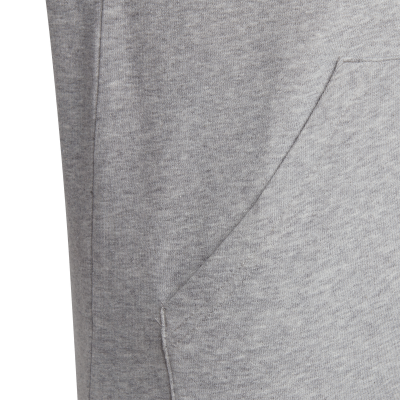 Adidas kids essentials two-colored big logo cotton hoodie (h-null