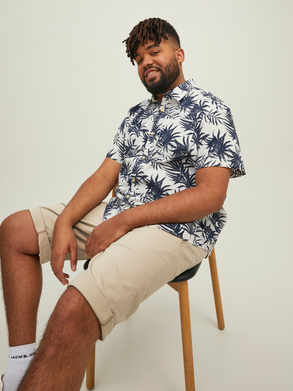 Plussize jjidave shorts - crockery-null