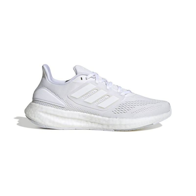 Pureboost 22 image number null