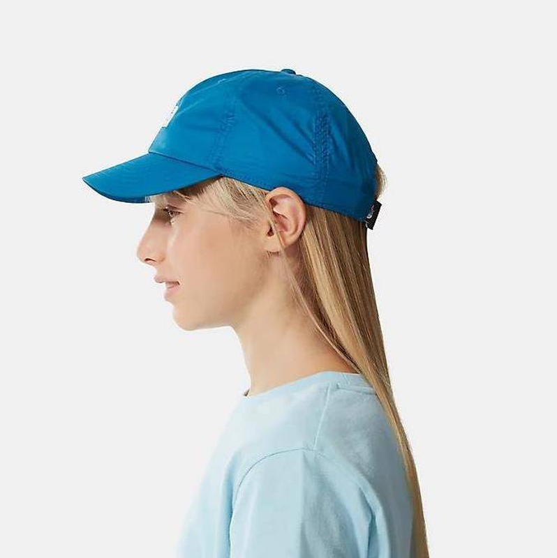 Product image: North face youth 66 classic tech ball cap-null