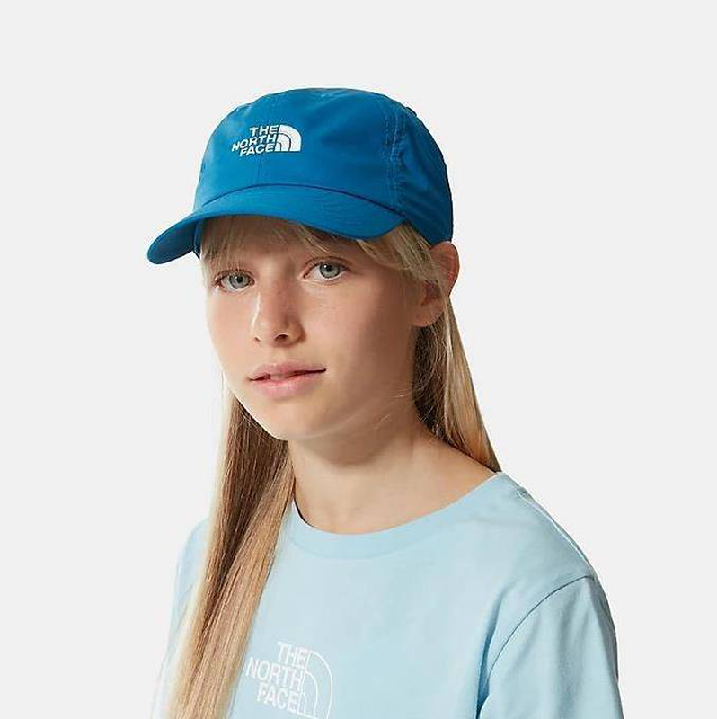 North face youth 66 classic tech ball cap-null