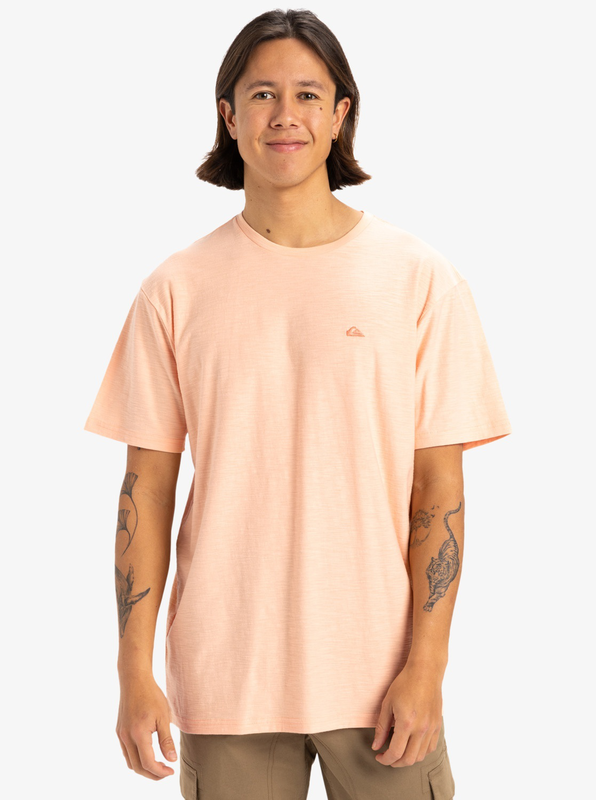 Quiksilver men's slub roundneck knit top-null