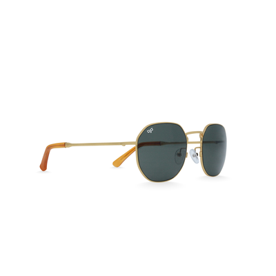 OJO sunglasses round gold frame and temples with green polarised lenses rx, , medium
