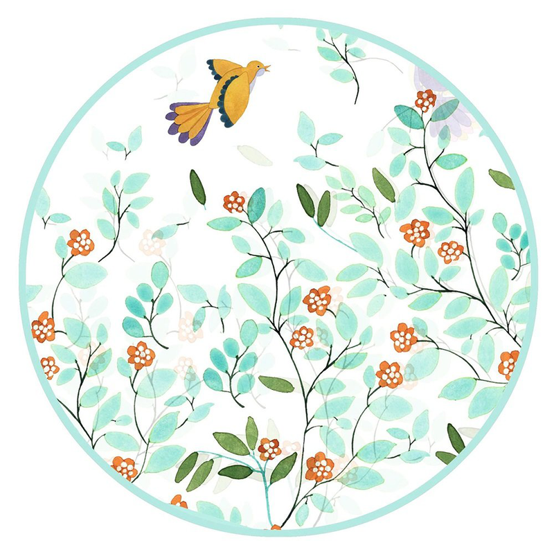 Rain cape flowers birds, , medium-null