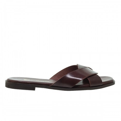 Mourtzi, Brown, medium