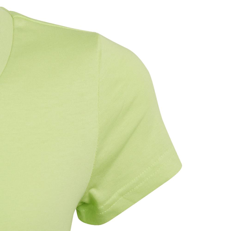 G power g top-null