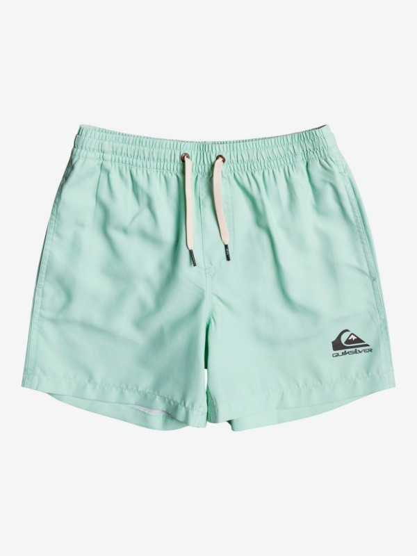 Quiksilver surfwash 13" - swim shorts for boys 8-16 (eqbjv03-null