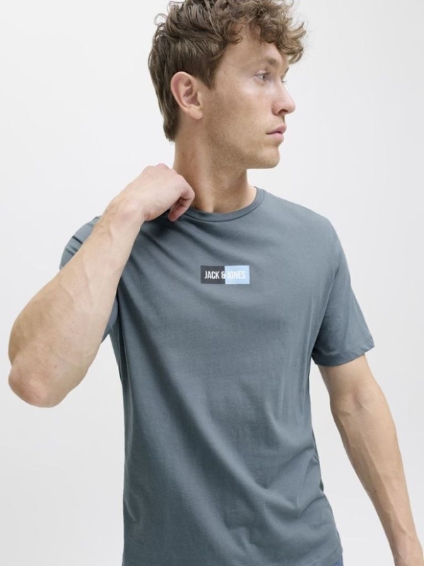 Jackjones jjpan tee ss crew neck-null