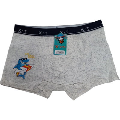 Childrens boxer shorts #bm856