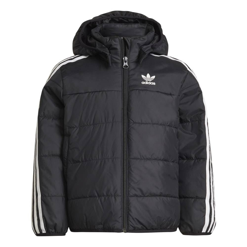 Padded jacket-null