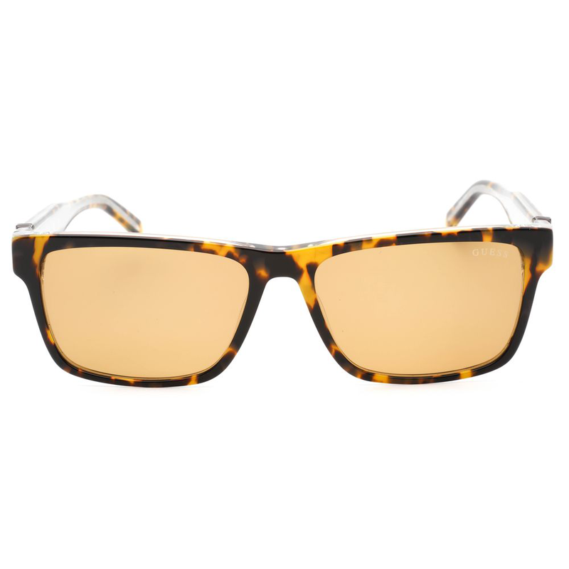 Brown resin sunglasses-null
