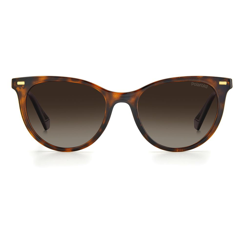 Brown resin sunglasses-null