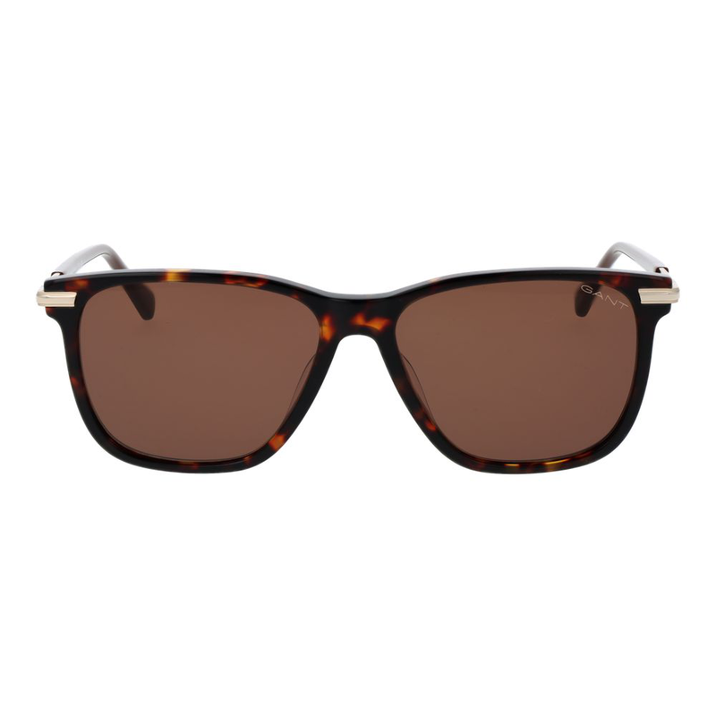 Brown acetate sunglasses-null