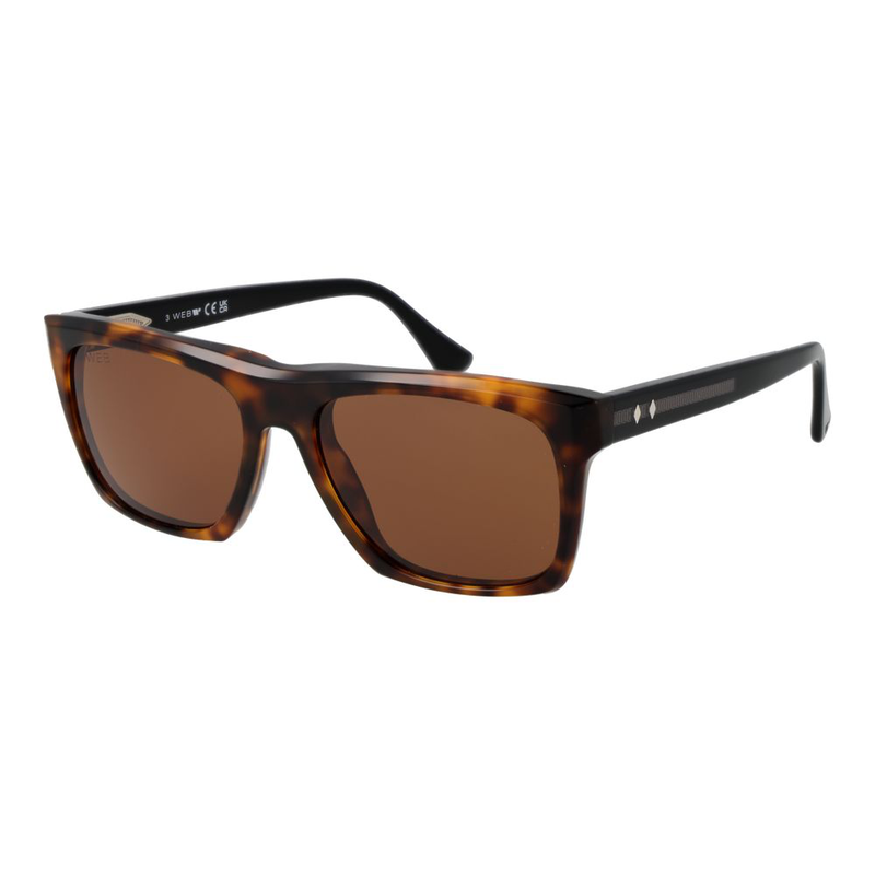 Brown acetate sunglasses-null