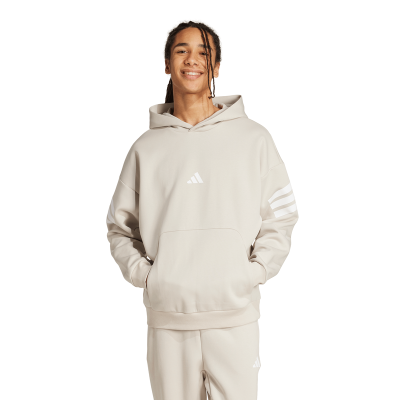 Adidas mens future icons 3-stripes hoodie-null
